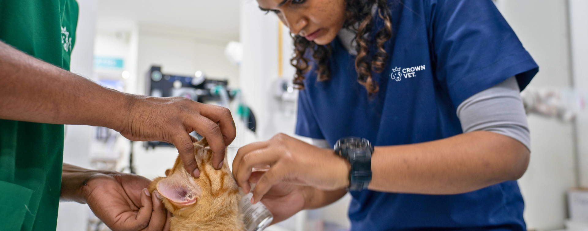 Pet Clinic