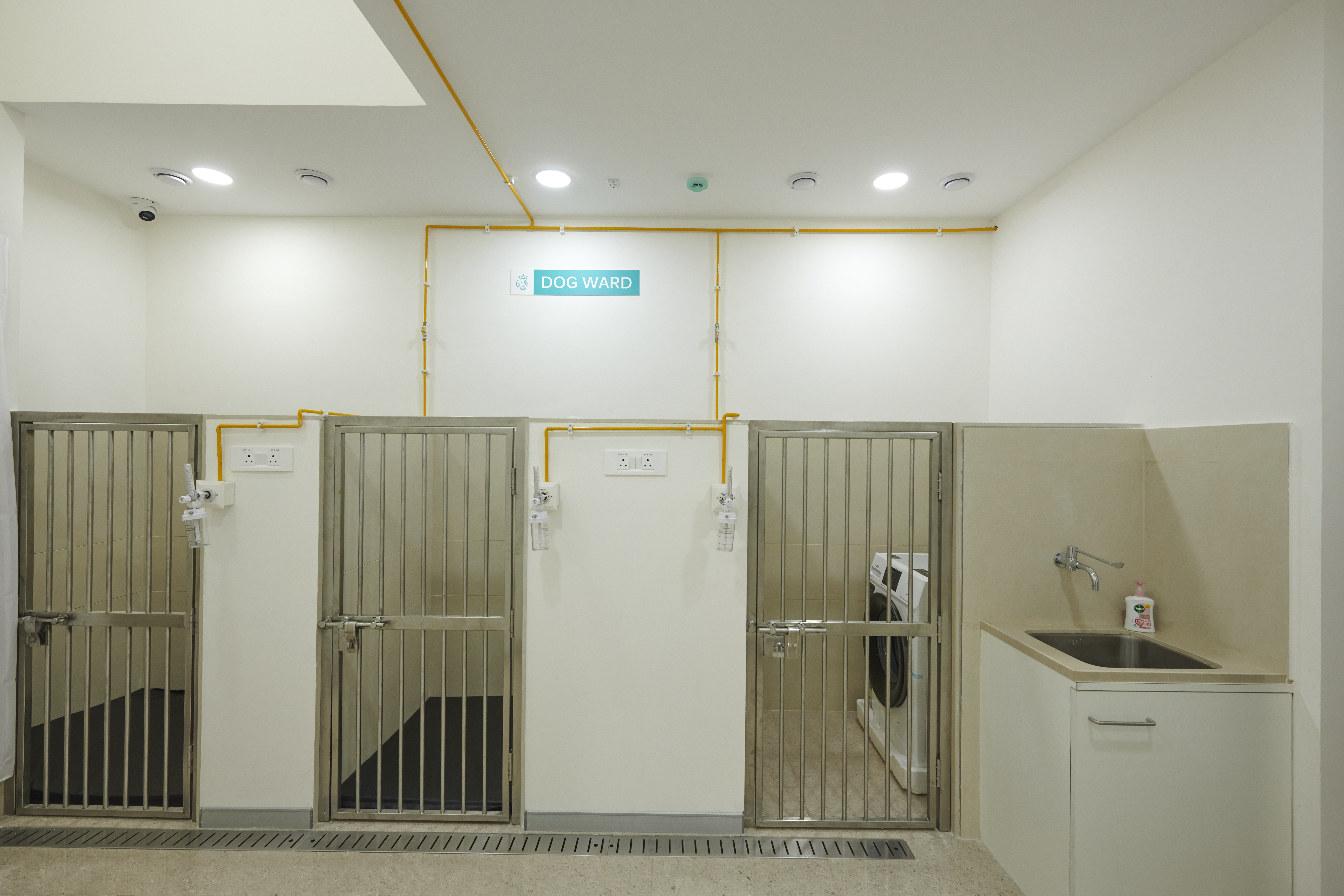 Crown Vet Kharadi veterinary care