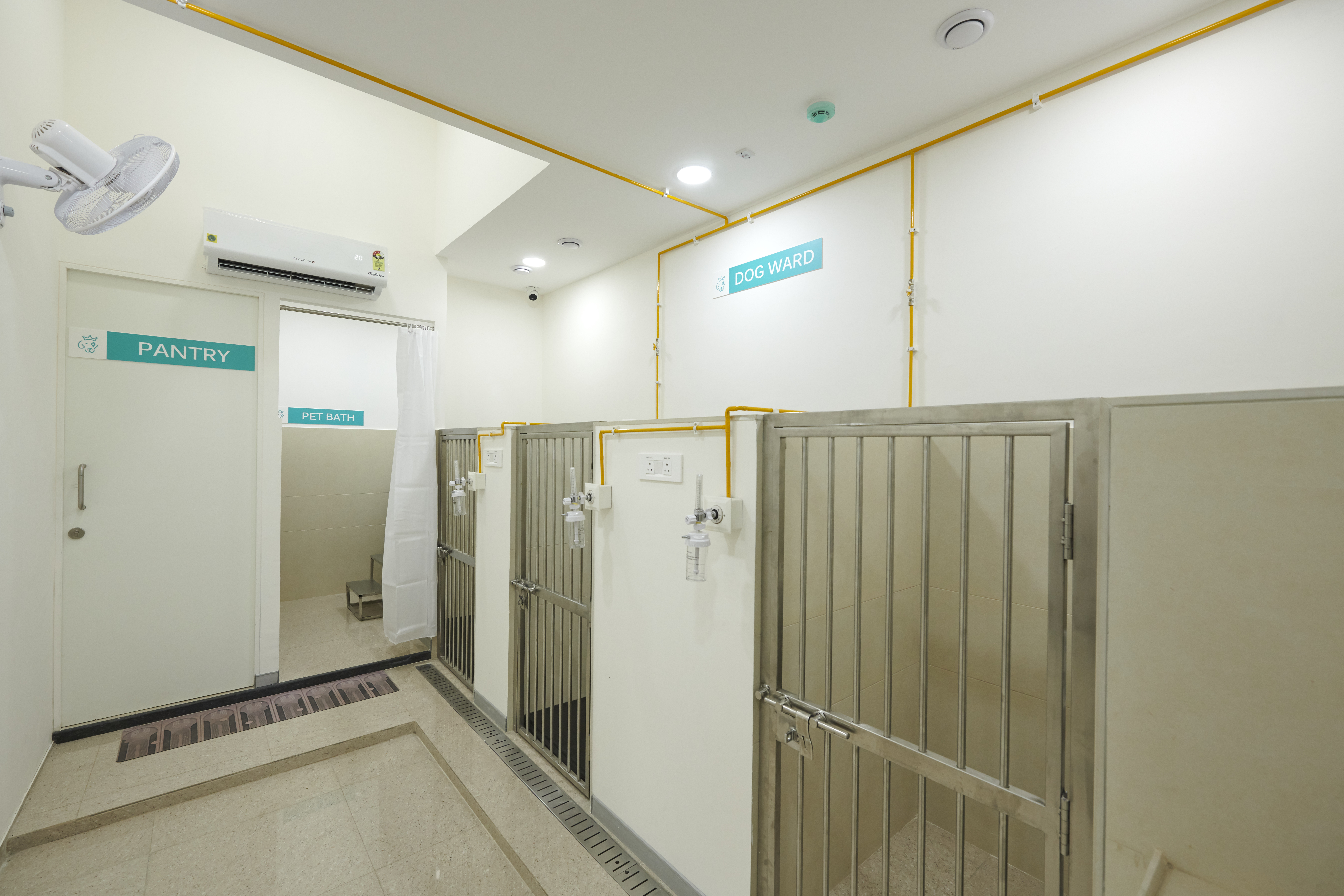 Crown Vet Kharadi veterinary clinic