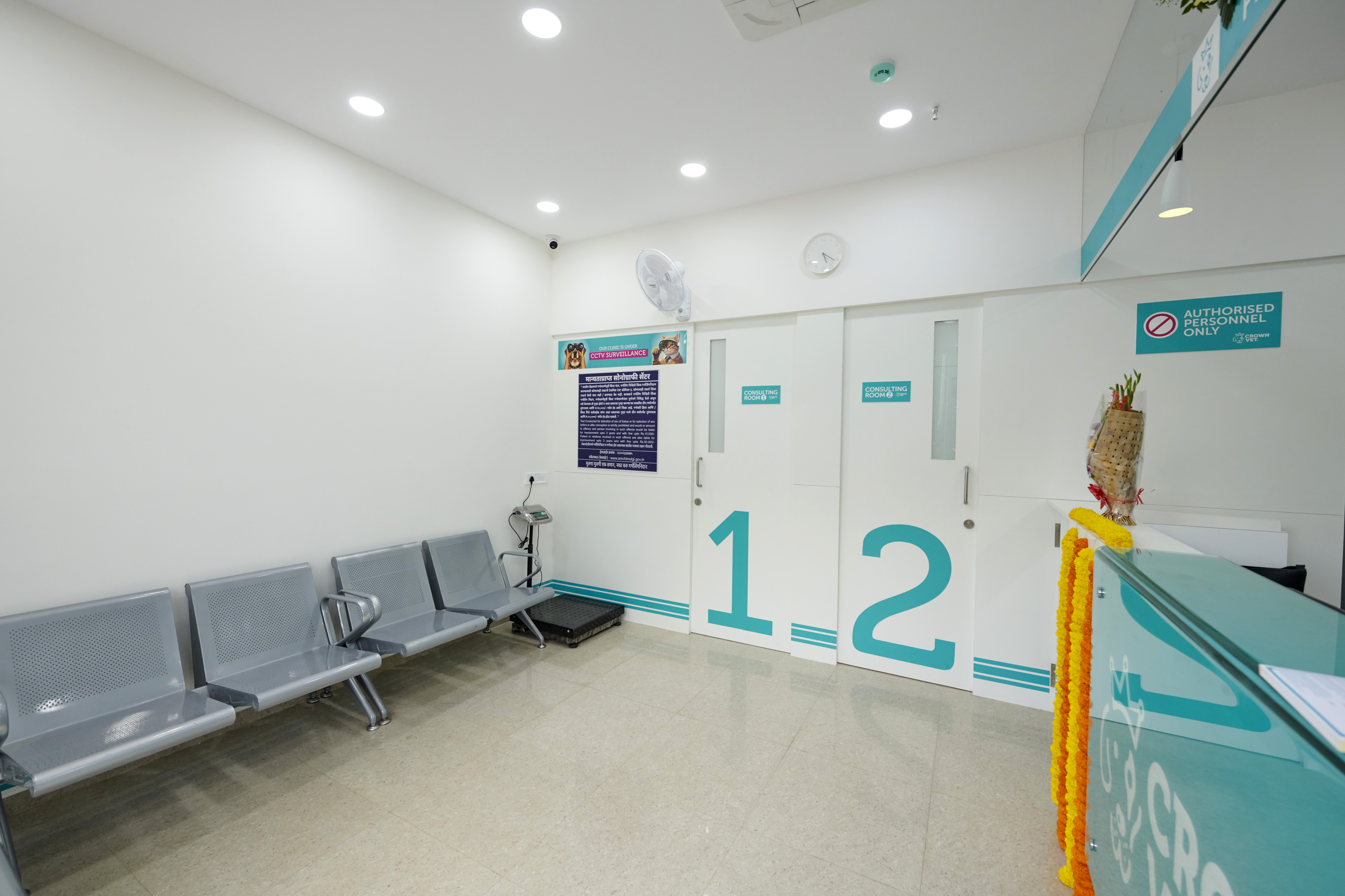 Crown Vet Kharadi pet care