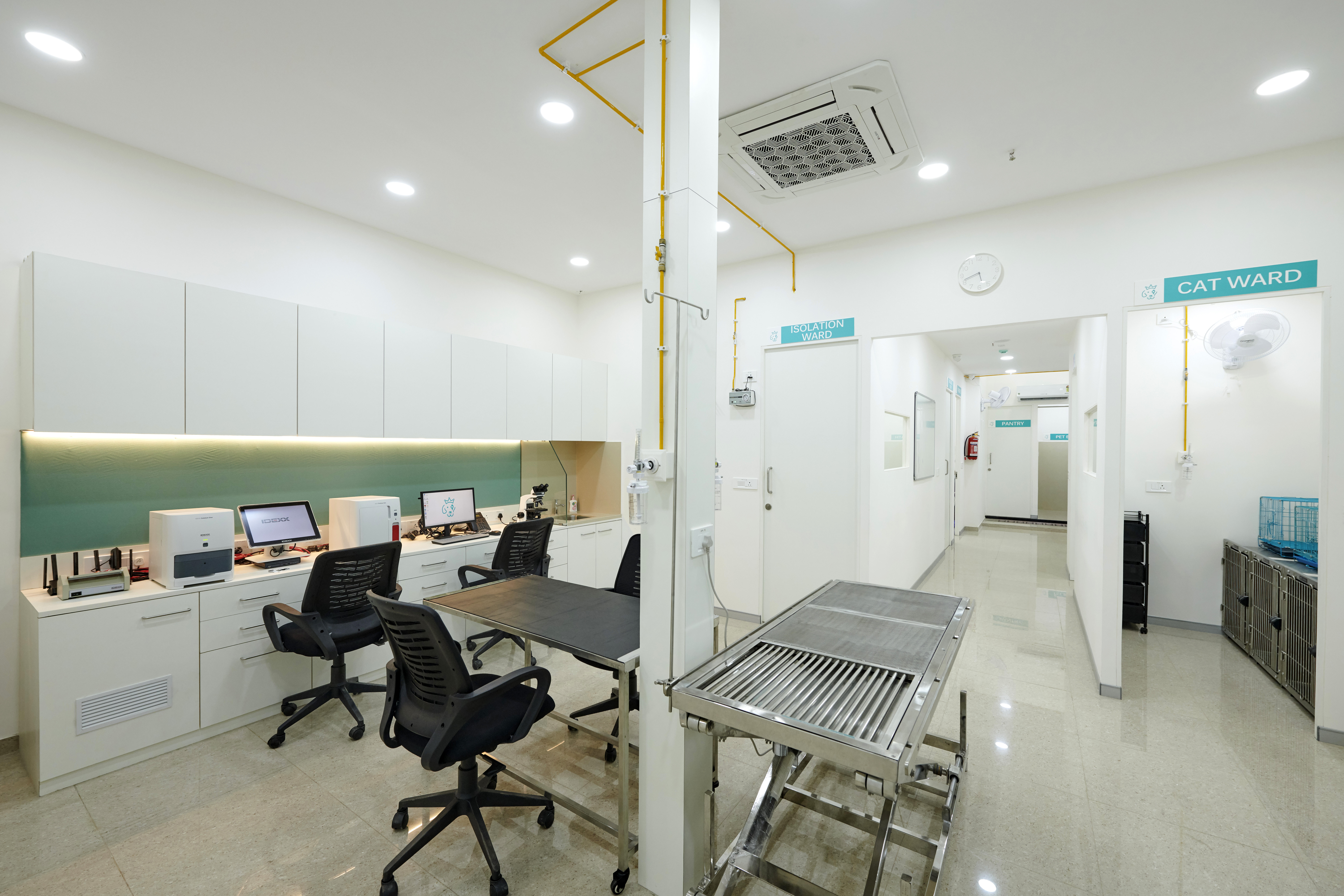 Crown Vet Kharadi veterinary clinic
