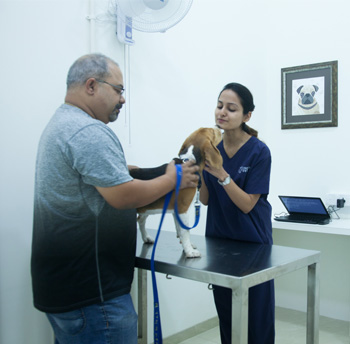 Quality Veterinary Services