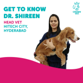 Dr. Shireen