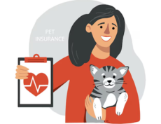 Insurance for Cats by 