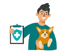 Insurance for Dogs by 