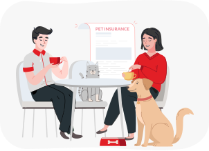 Pet Insurance